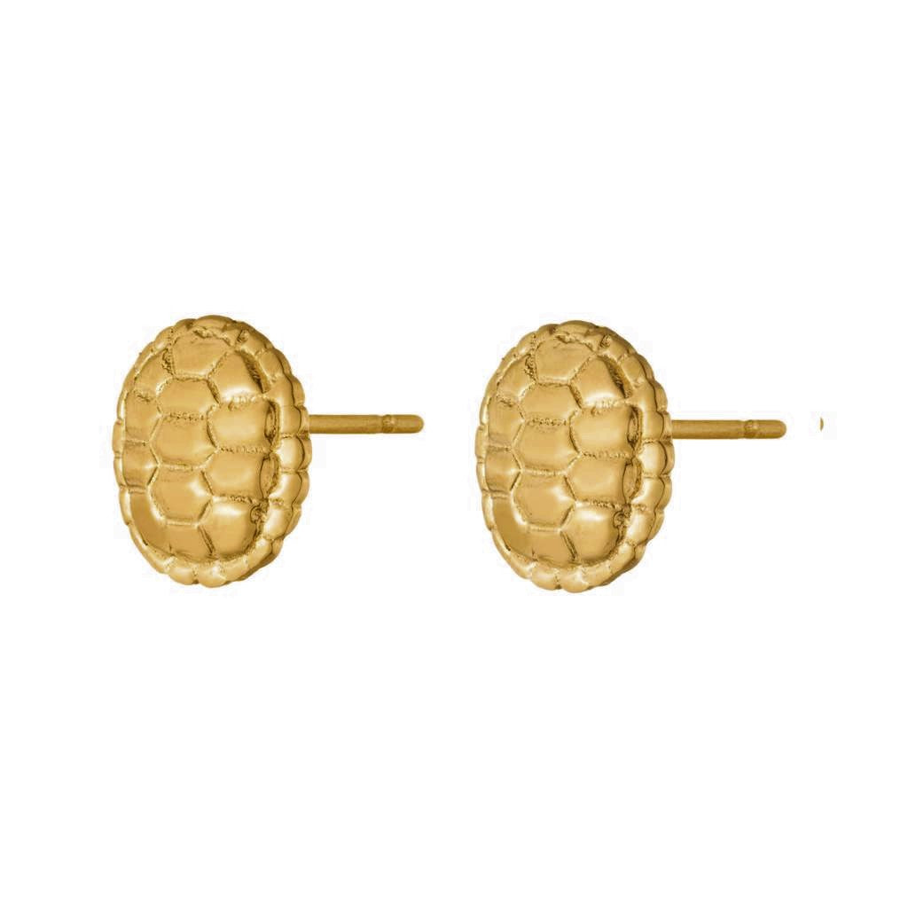 Dalasini Sahel Gold Tortoise Shell Round Studs Angle