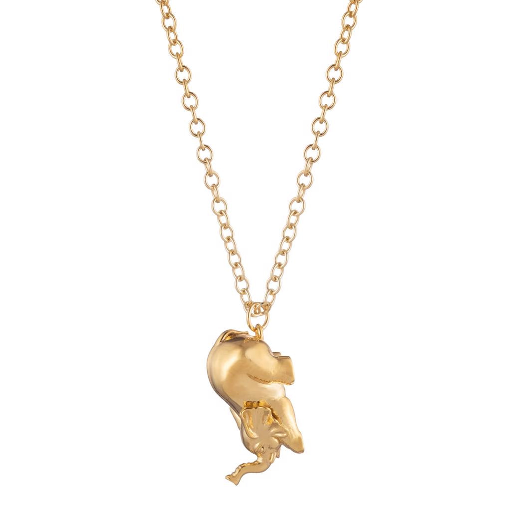Dalasini Selous Gold Elephant Pendant Necklace Hanging Side