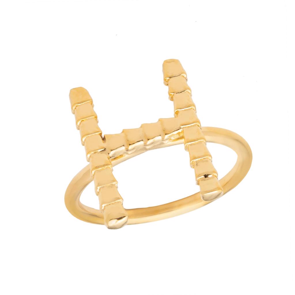Dalasini Isiro Gold Vertebrae Ring Letter H