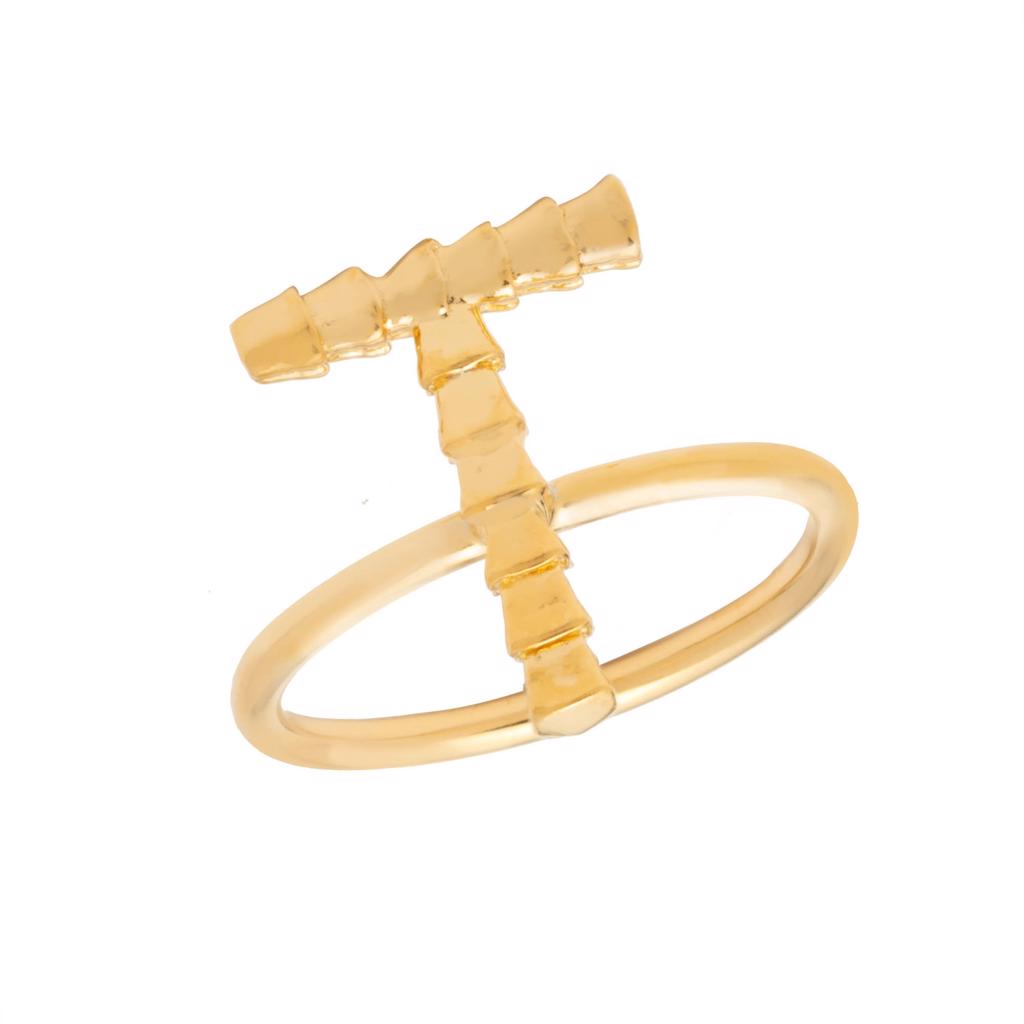 Dalasini Isiro Gold Vertebrae Ring Letter T