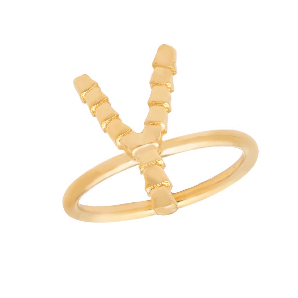 Dalasini Isiro Gold Vertebrae Ring Letter Y
