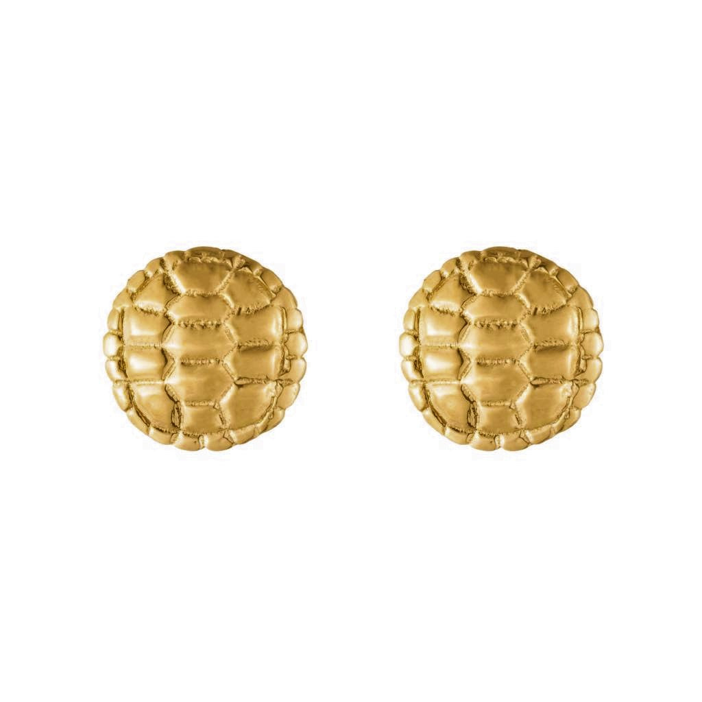 Dalasini Sahel Gold Tortoise Shell Round Studs Front