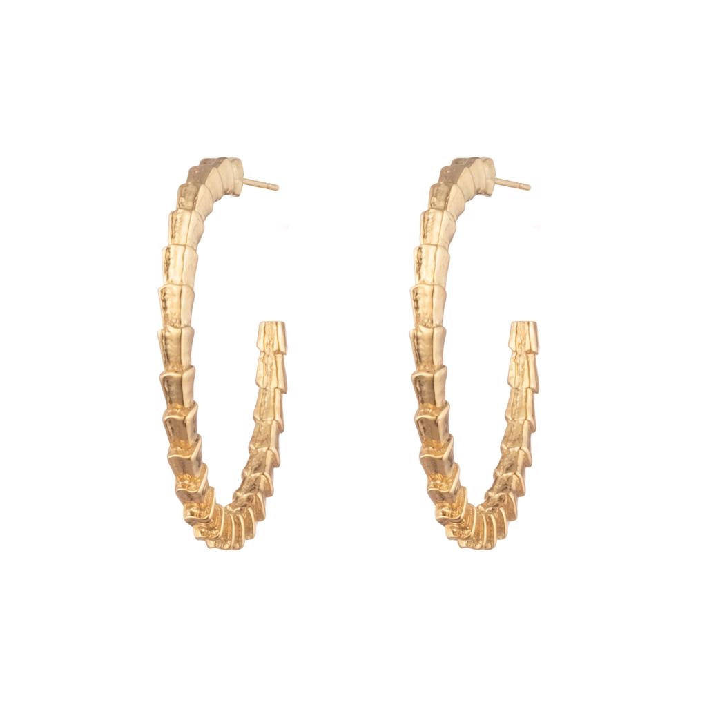 Dalasini Isiro Gold Vertebrae 1 Inch Hoops Front