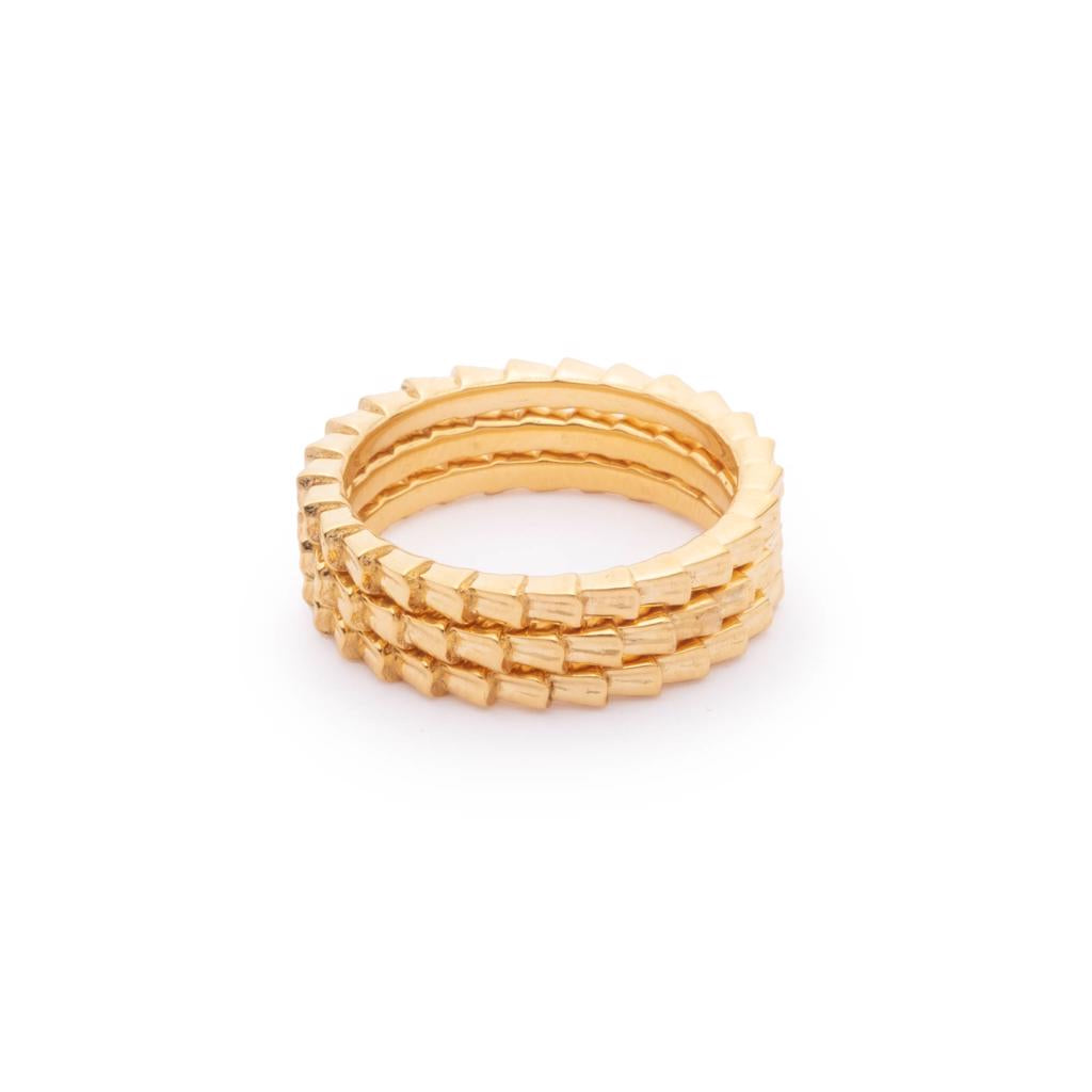 Dalasini Isiro Gold Vertebrae 2MM Ring Stack