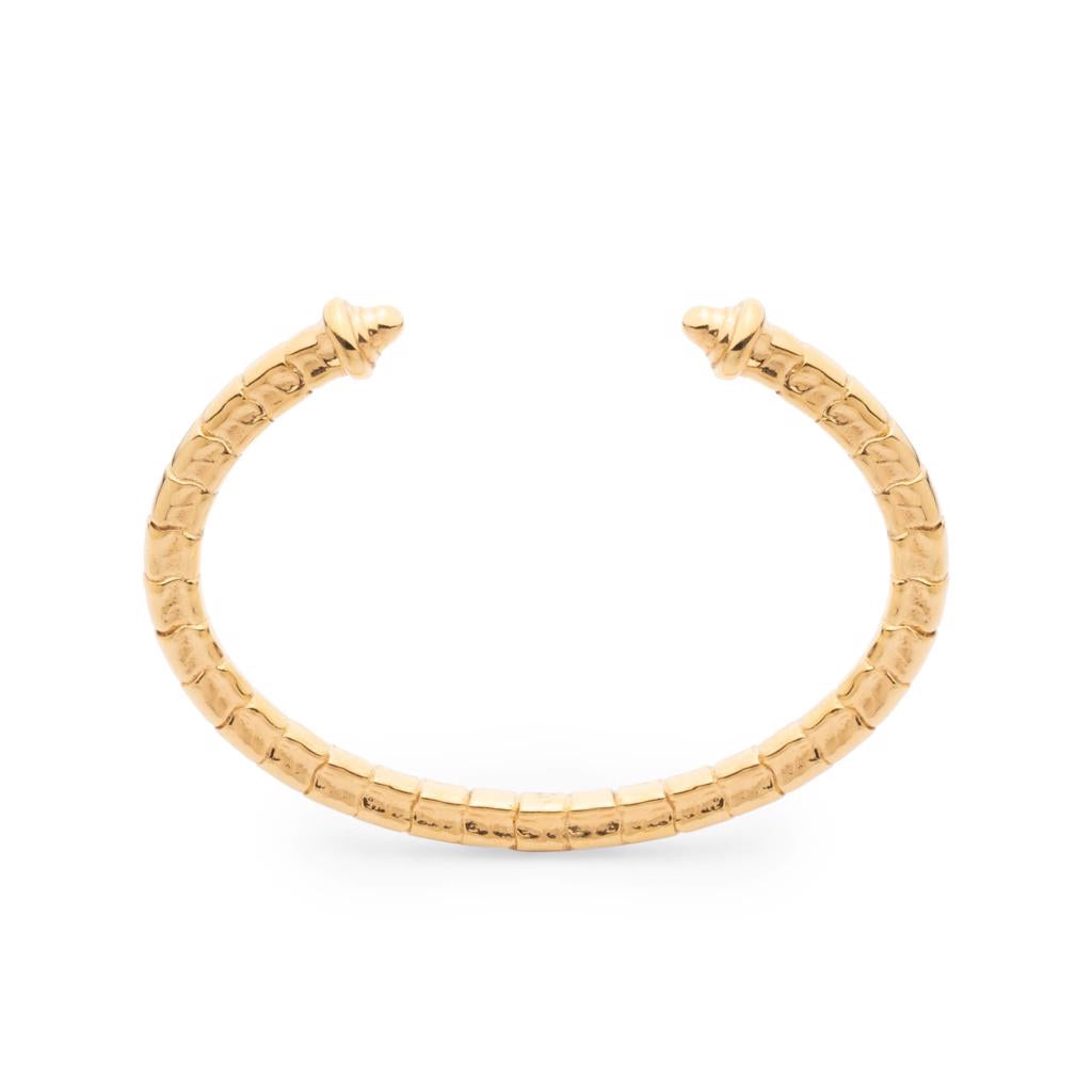 Dalasini Isiro Gold Vertebrae Bracelet Front