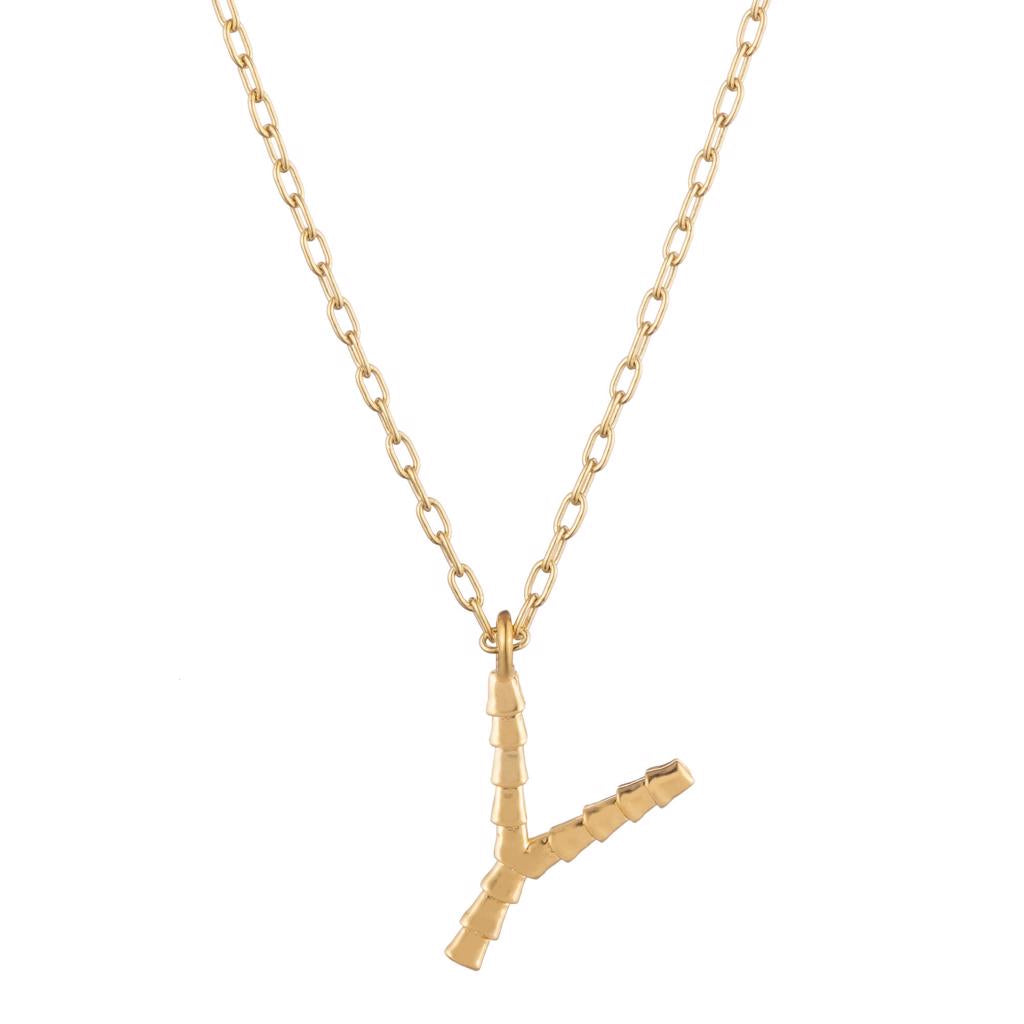 Dalasini Isiro Gold Vertebrae Charm Letter Y