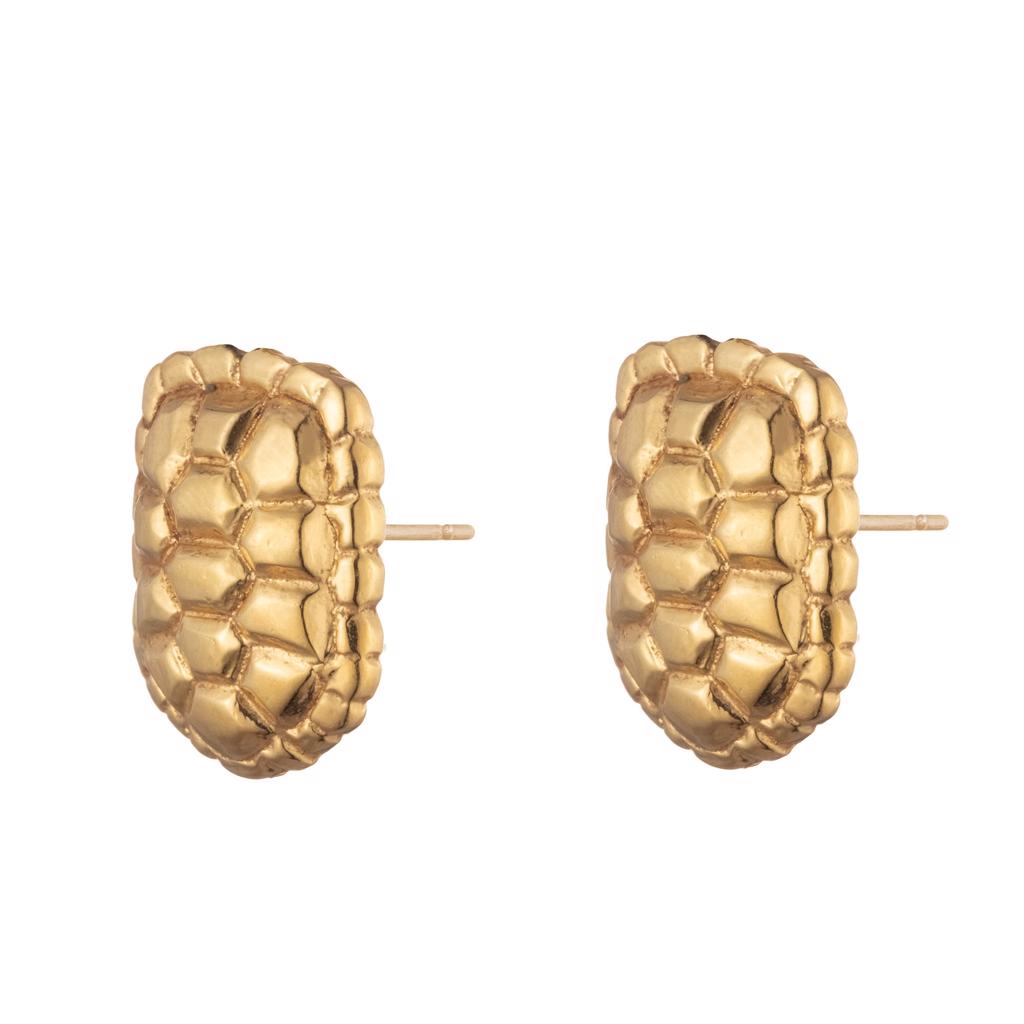 Dalasini Sahel Gold Tortoise Shell Stud Earrings Front